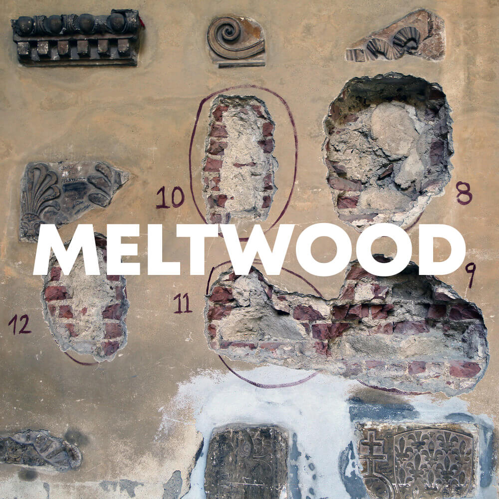 Meltwood cover