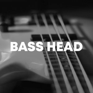 Bass head cover