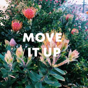 Move It Up cover