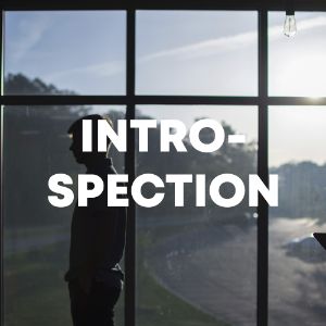 Introspection cover