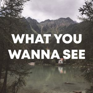 What You Wanna See cover