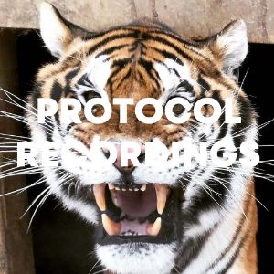 Protocol Recordings cover