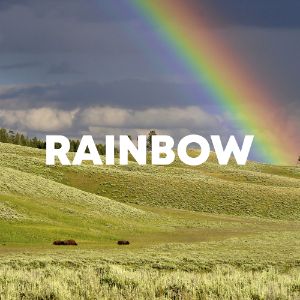 Rainbow cover