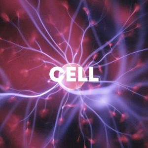 Cell cover