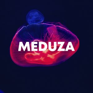 Meduza cover