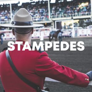 Stampedes cover