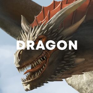 Dragon cover