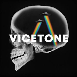 Vicetone cover