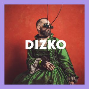 Dizko cover