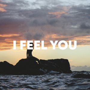 I Feel You cover