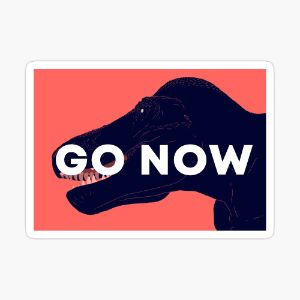 Go Now cover