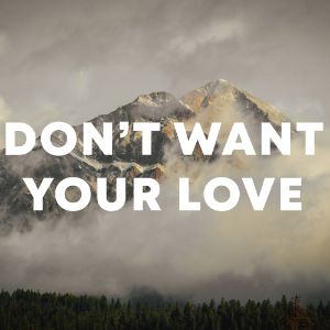Don`t Want Your Love cover