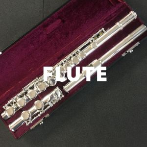 Flute cover