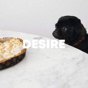 Desire cover