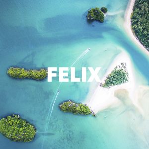 FELIX cover