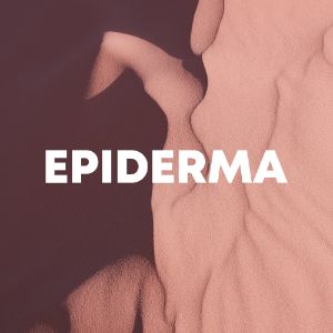 Epiderma cover