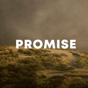 Promise cover