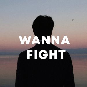 Wanna Fight cover