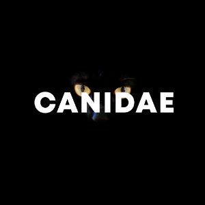 Canidae cover