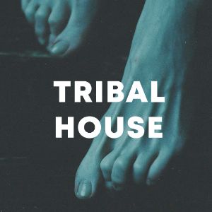 TRIBAL HOUSE cover