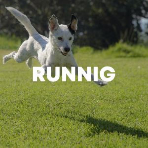 Runnig cover