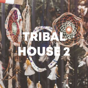 Tribal House 2 cover