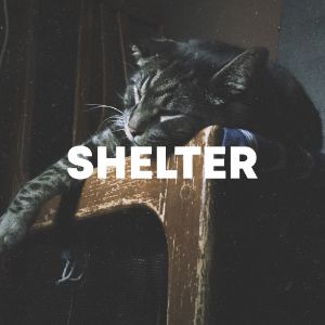 Shelter cover