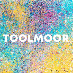 Toolmoor cover