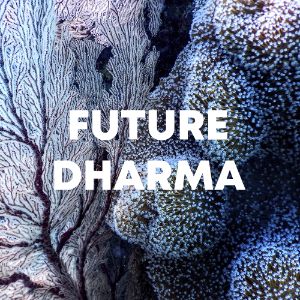 FUTURE DHARMA cover