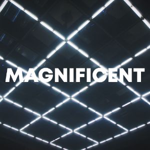 Magnificent cover