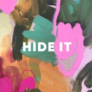 Hide It cover