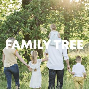 Family Tree cover