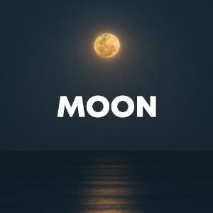 Moon cover