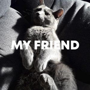 My Friend cover