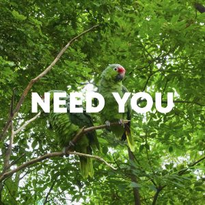 Need You cover