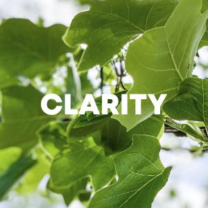 Clarity cover