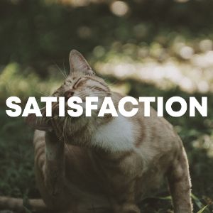 Satisfaction cover