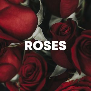 Roses cover