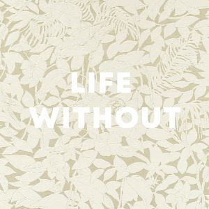 Life Without cover