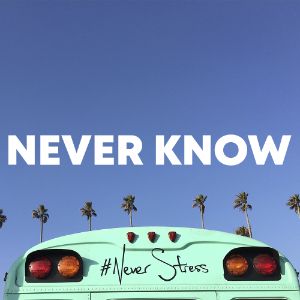 Never Know cover