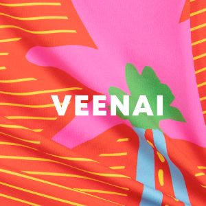 Veenai cover