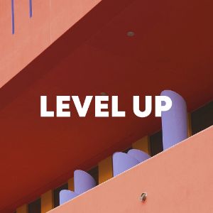 LEVEL UP cover