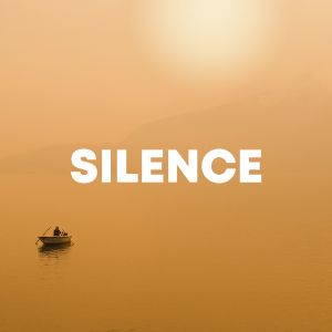 Silence cover