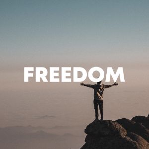 Freedom cover