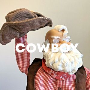 Cowboy cover