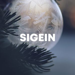 Sigein cover