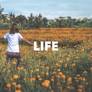 Life cover