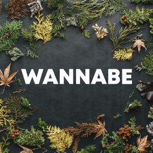 Wannabe cover