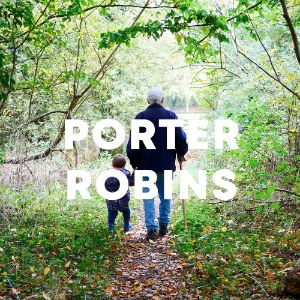 Porter Robins cover