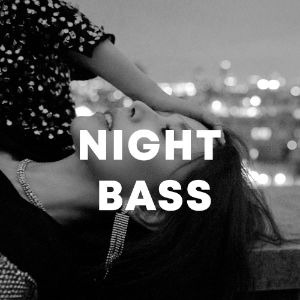 Night Bass cover
